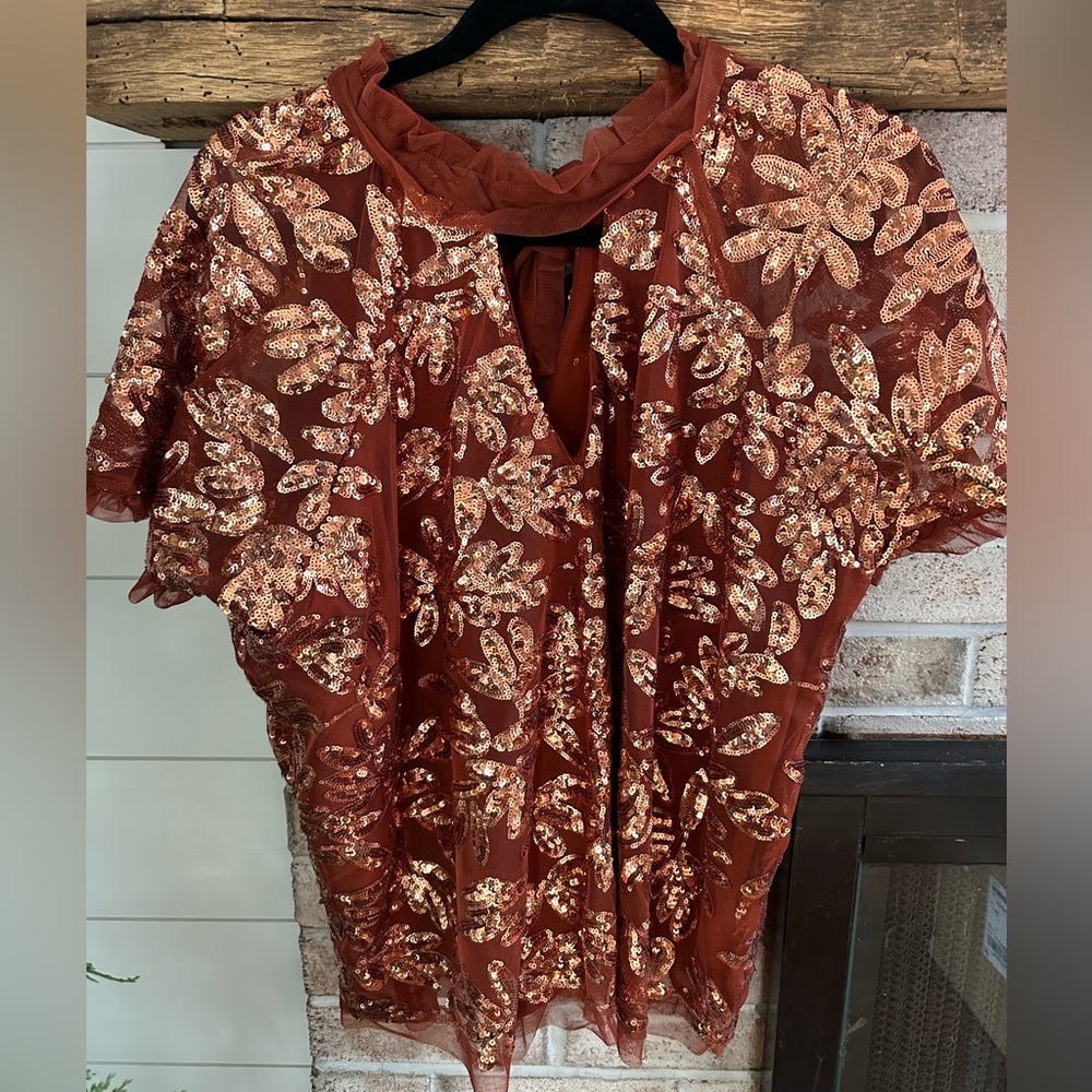 Anthropologie brown Sequins top size large